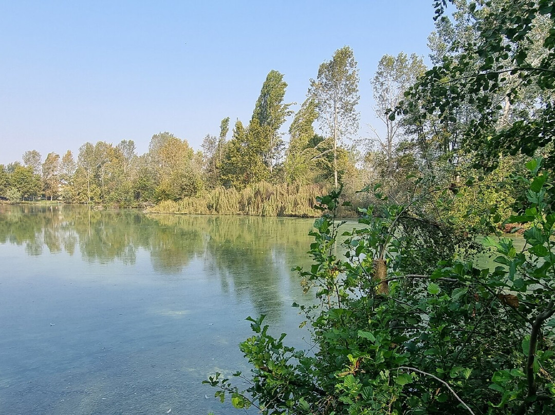 Parco Comunale 3 Laghi景点图片