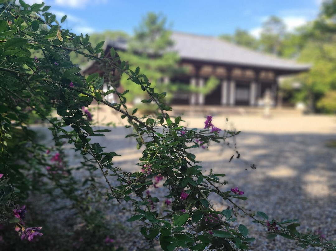 秋篠寺-奈良市必去景点