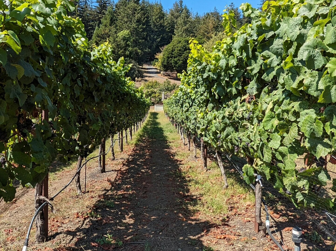 Soquel Vineyards-Soquel必去景点