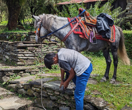 尼泊尔山地俱乐部-博卡拉必去景点