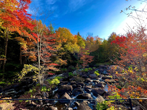 Stone Arch Bridge-Stoddard必去景点