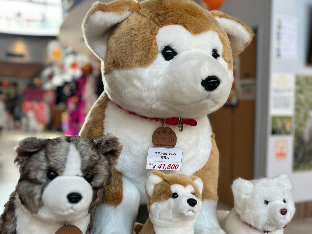 Akita Inu no Sato-大馆市必去景点
