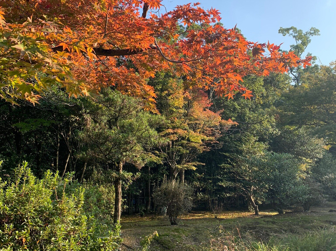 Hyozu Shrine-野洲市必去景点