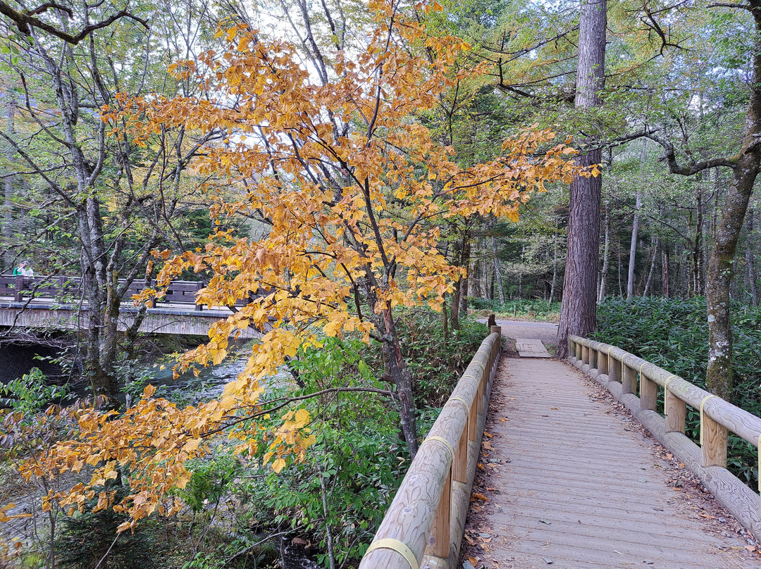 Tashiro Bridge-松本市必去景点