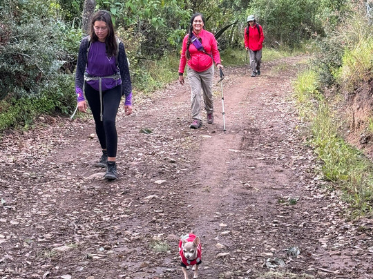 Coyote Aventuras-瓦哈卡必去景点