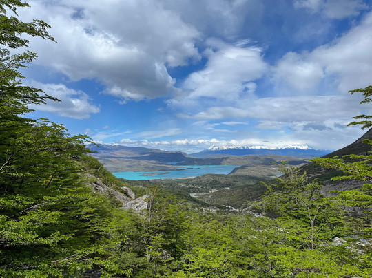 Extremo Chile-纳塔莱斯港必去景点