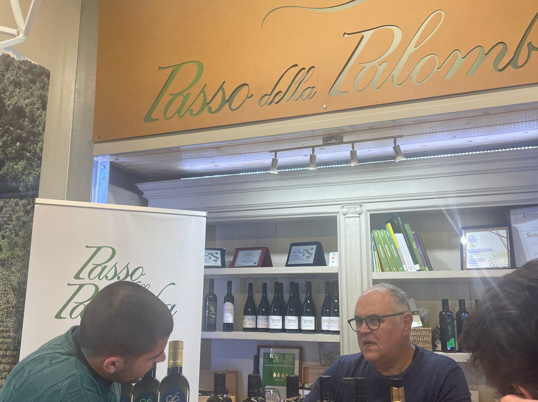 Azienda Agricola Passo Della Palomba-托迪必去景点