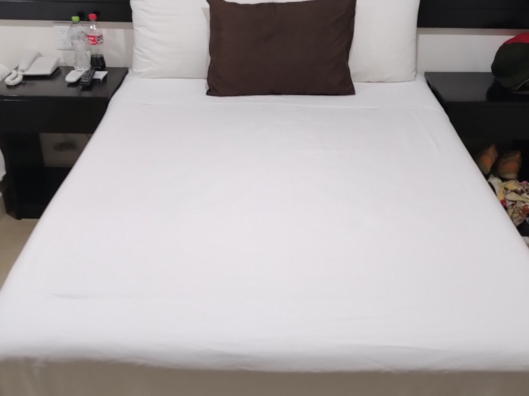 Hotel Mayev Express主图