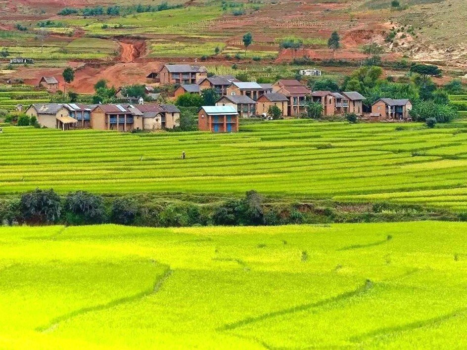 Les Rizières En Terrasses Du Parc National Ambalavao景点图片