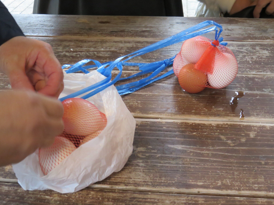 Arayu-新温泉町必去景点