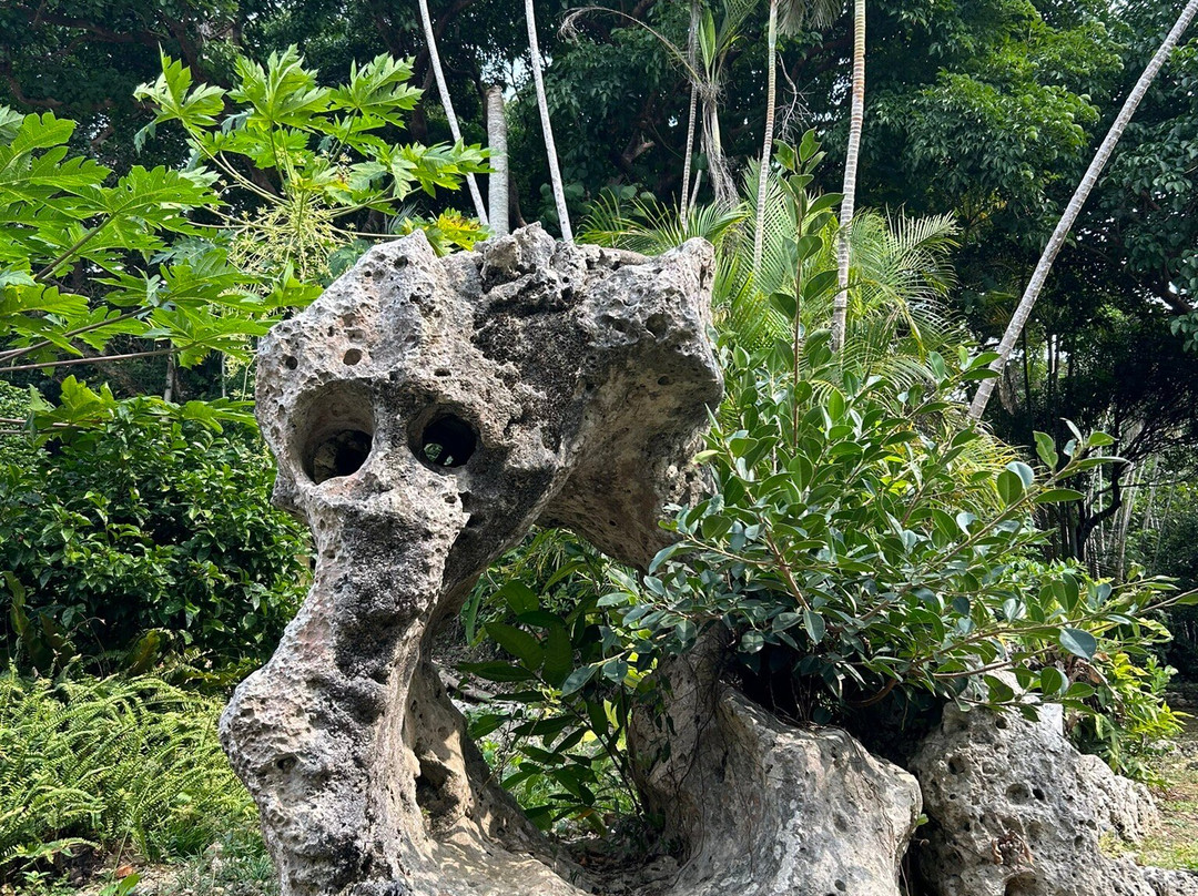 Hirara Tropical Botanical Garden-宫古岛市必去景点