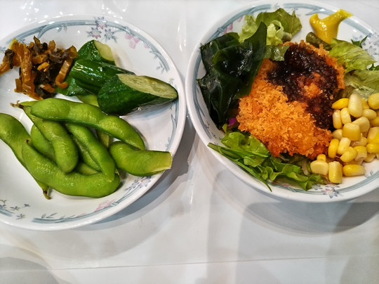 Kokuminsyukusya Ryokamiso主图