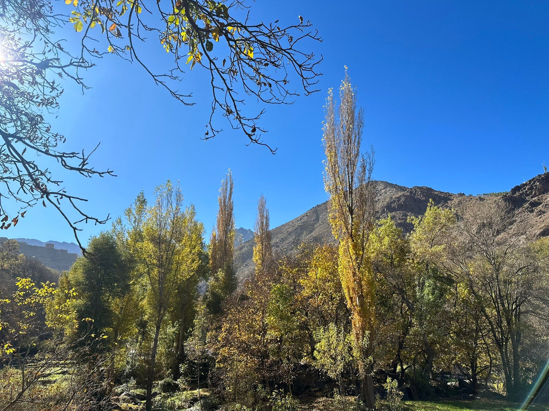 Ibrahim Amzil-马拉喀什必去景点