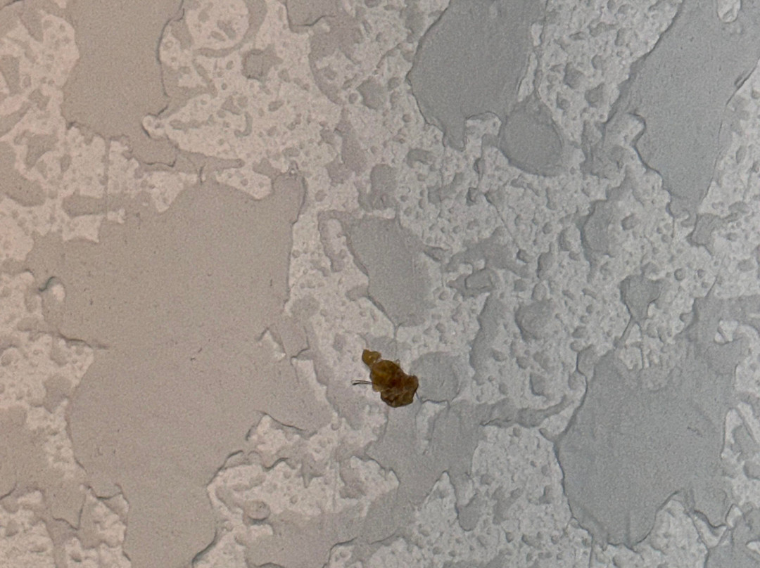 Tru by Hilton Harrisonburg主图