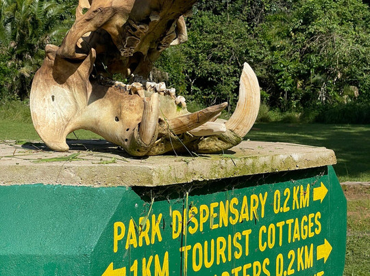 Rubondo Island National Park-Rubondo Island必去景点