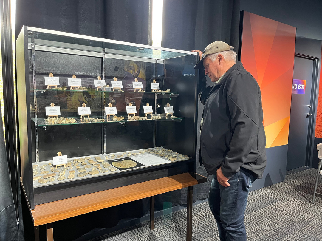 55 Million Years Ago-Murgon必去景点