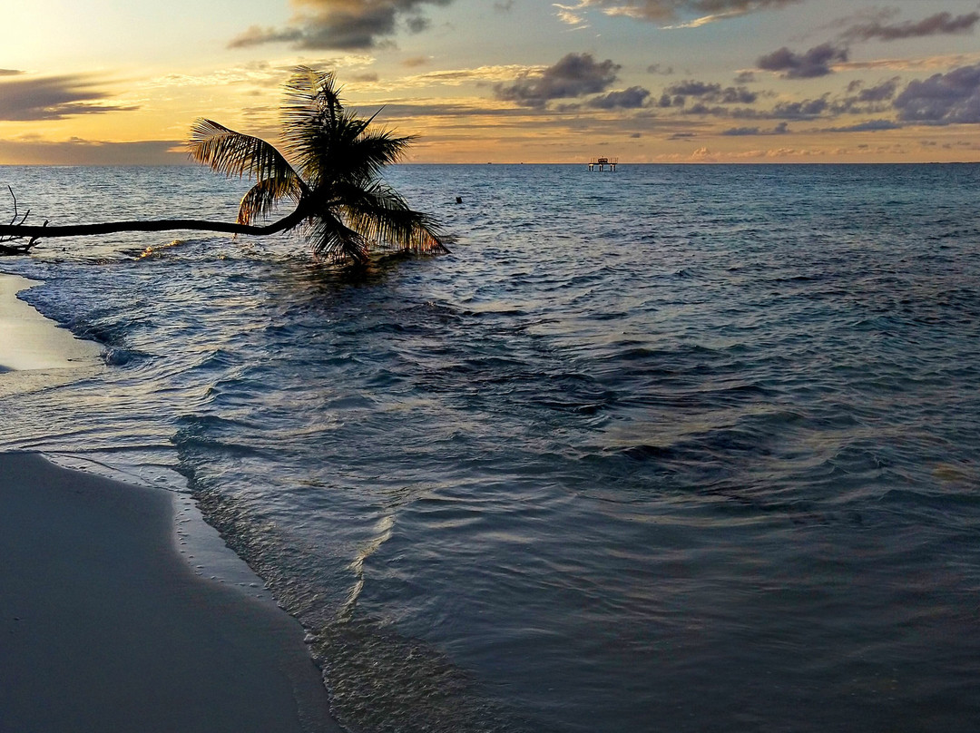 马尔代夫自然天堂度假酒店主图