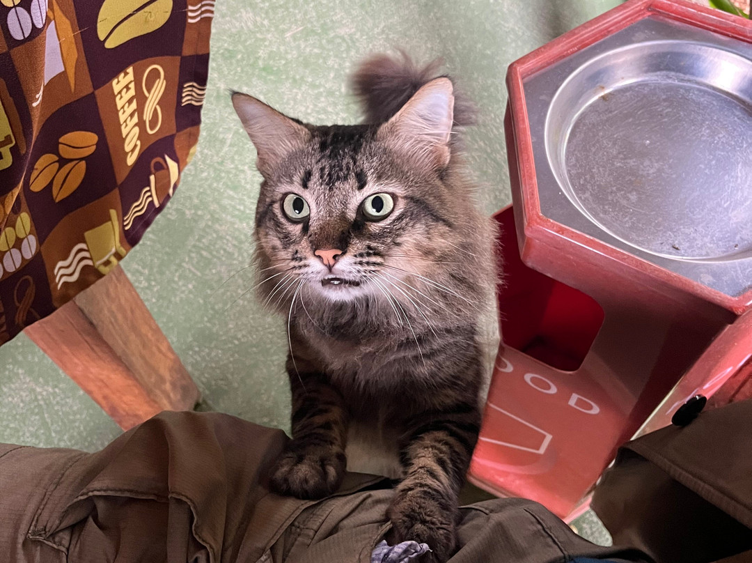 Casa Dona Edita主图