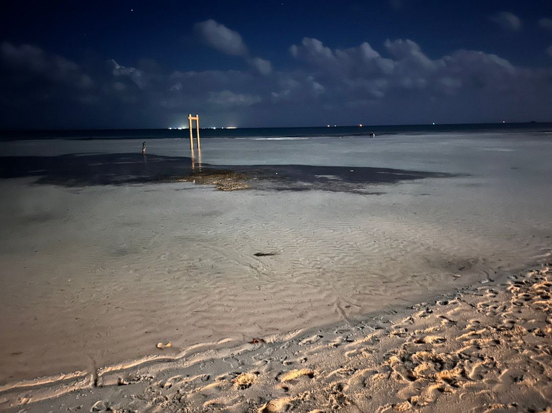 Visit Dhiffushi-Dhiffushi Island必去景点