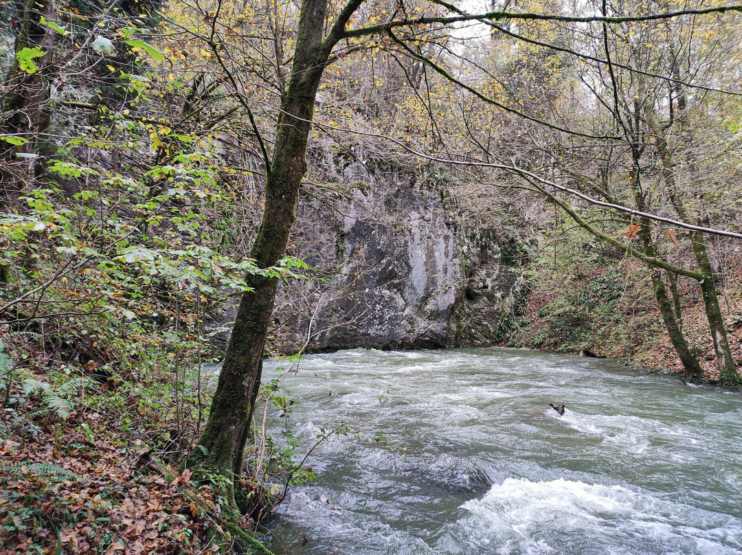 Retovje Springs-Vrhnika必去景点
