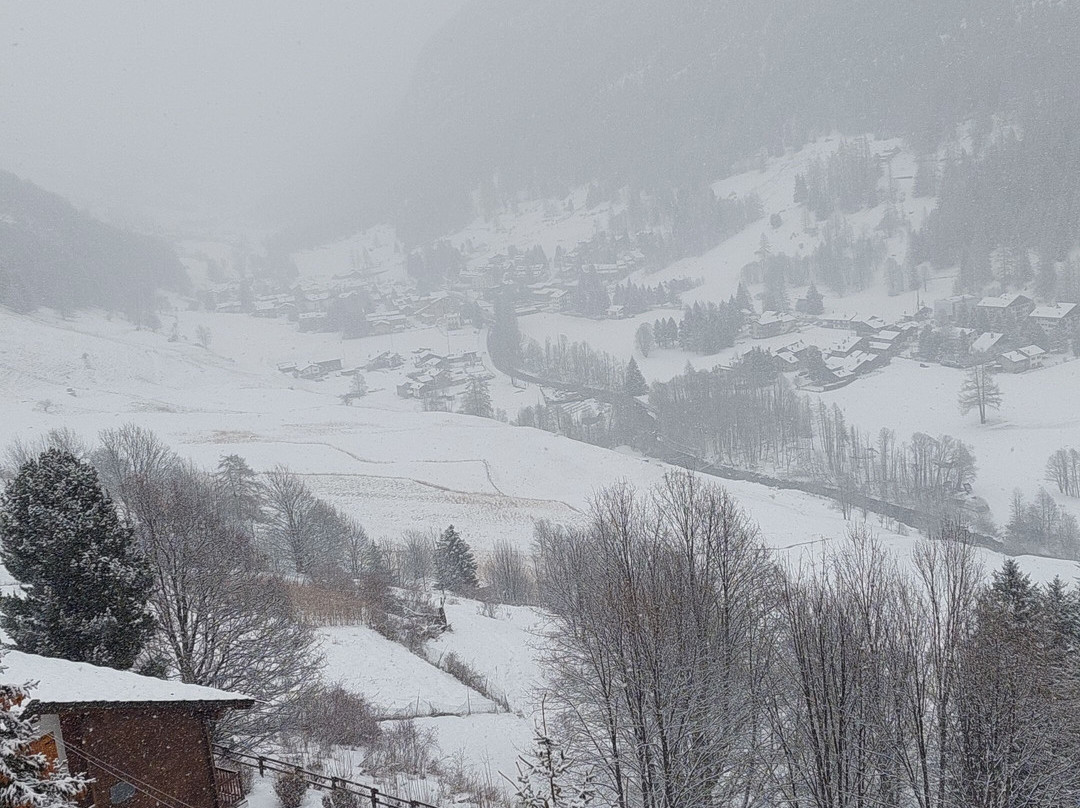 Hotel Alpe Fleurie主图