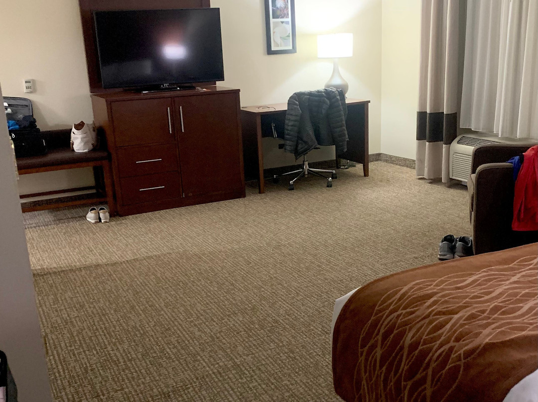 Comfort Inn & Suites Cordele主图