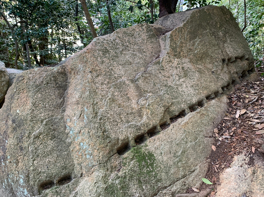 Koshikiiwa Shrine-西宫市必去景点
