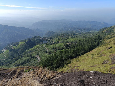 Munnar Valley Trekking & Tours-慕那尔必去景点