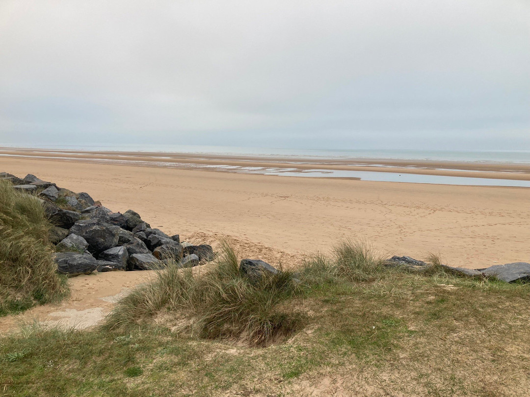 D-day Guided Tours-卡昂必去景点