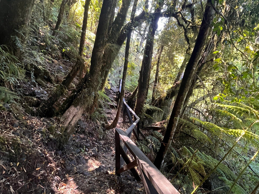 Parque Neltume - Salto Huilo Huilo-耐尔杜美必去景点