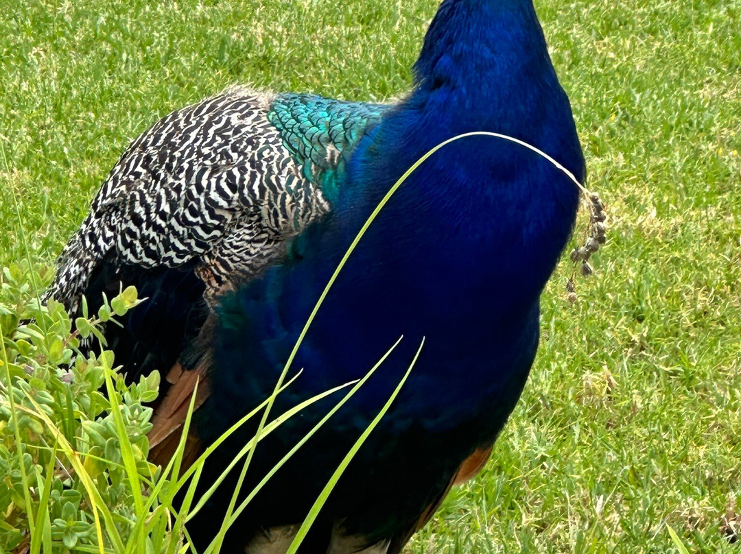 The Hawthorn Boutique Hotel主图