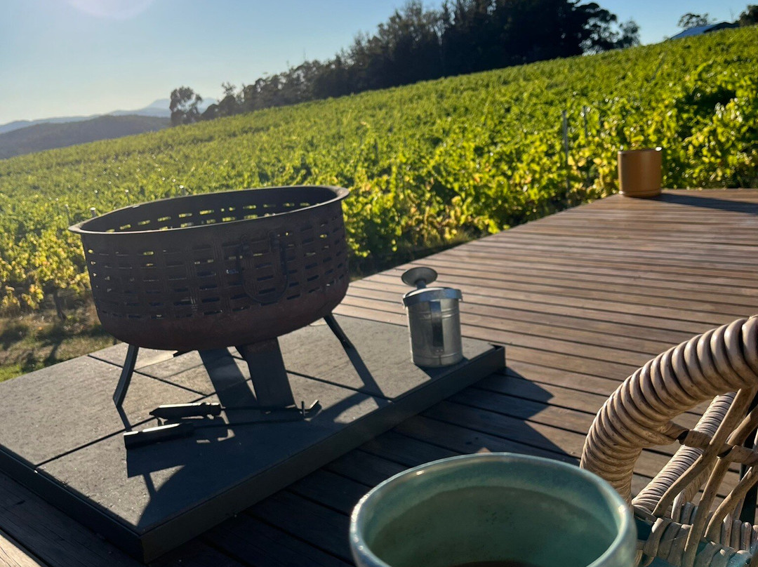 Domescapes in the Vines主图