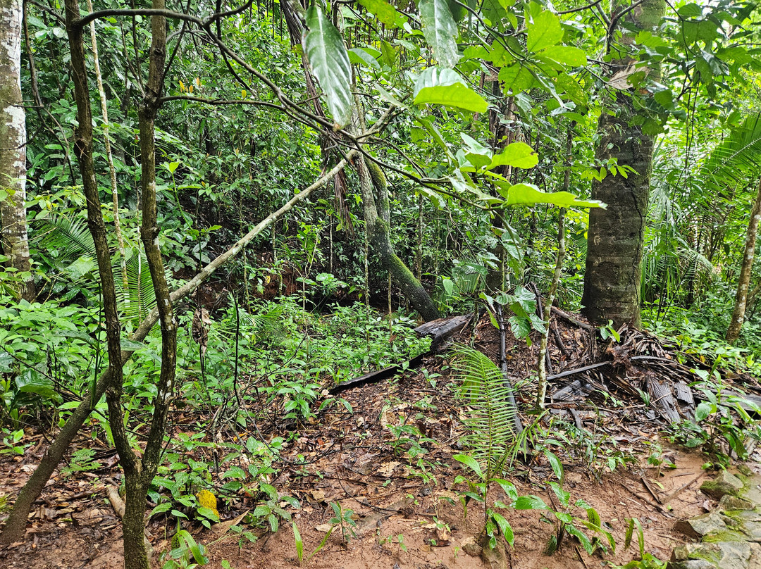 Escorrega Macaco Waterfall-Palmas必去景点