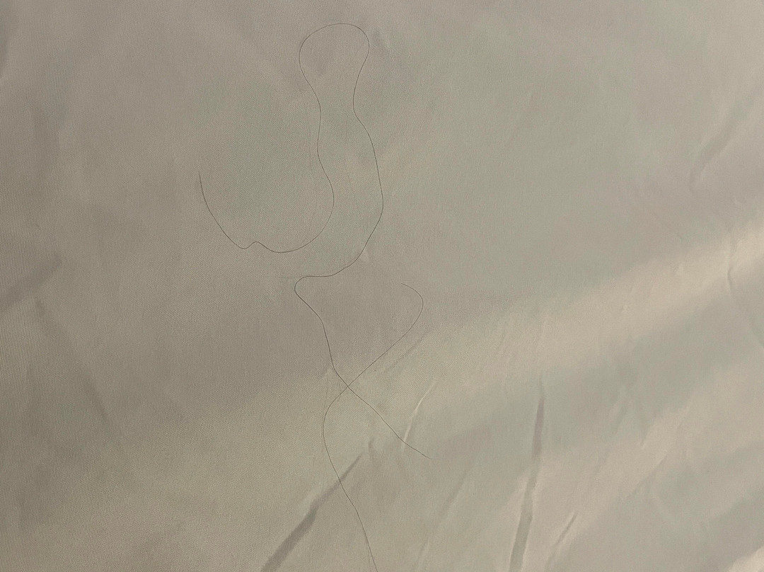 Red Roof Inn Binghamton North主图