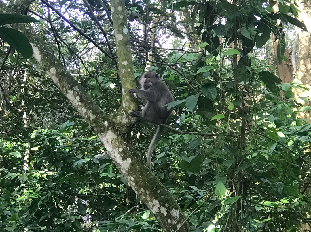 Tetebatu Indah Homestay主图