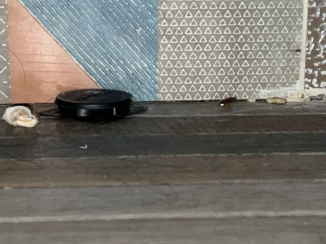 北卑尔根林肯隧道快捷假日酒店主图