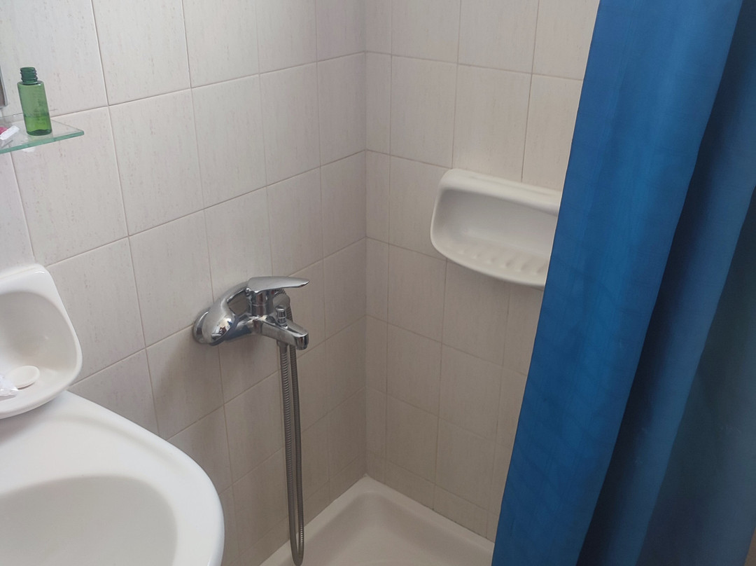 Sariza Spring Hotel主图