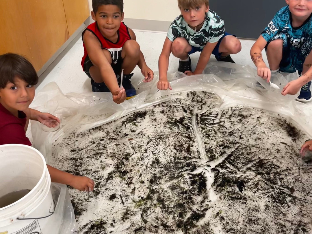 Rush Hour Escapes Cornwall-康沃尔必去景点