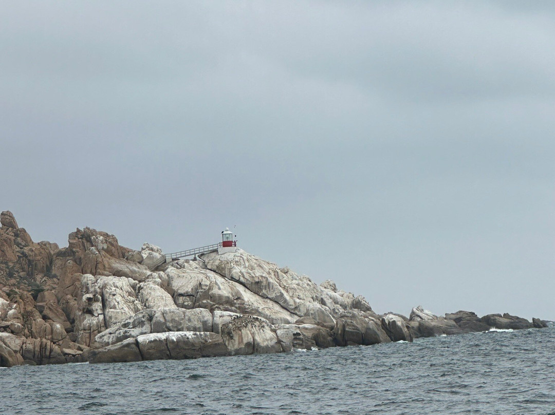 Puerto de Coquimbo-Coquimbo必去景点