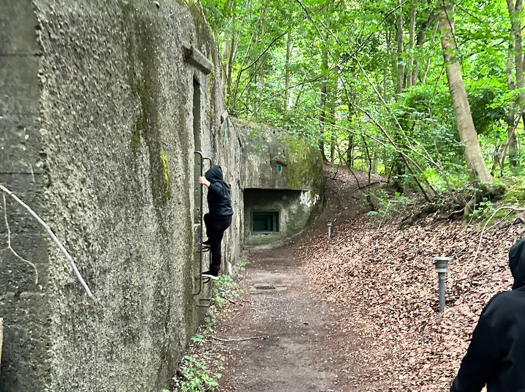Skanderborg Bunkerne景点图片
