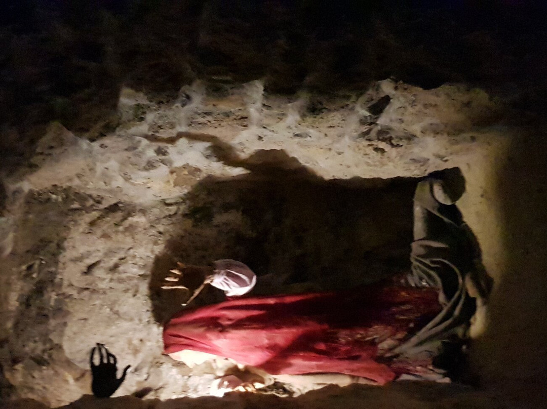 Dominican Cathedral-利沃夫必去景点