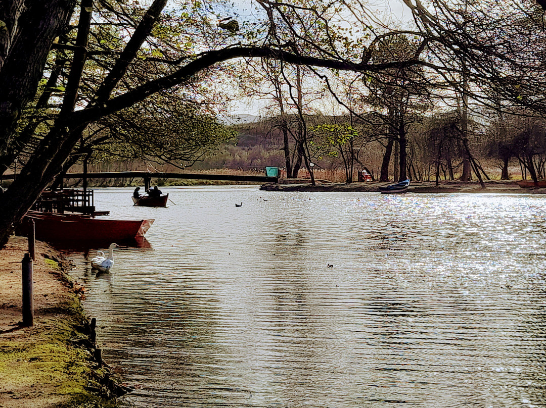 Driloni National Park-Pogradec必去景点