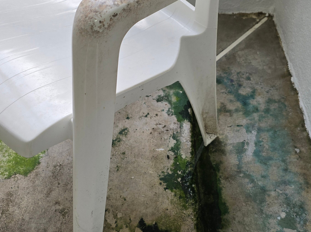 Comfort Inn & Suites Dalton主图