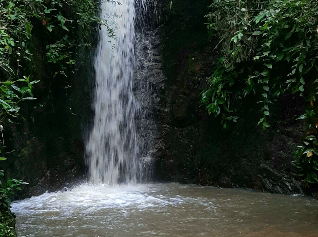 Parque Ecoturistico El Gran Pijao-Rovira必去景点