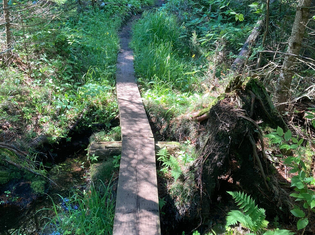 Isle Royale National Park-霍顿必去景点