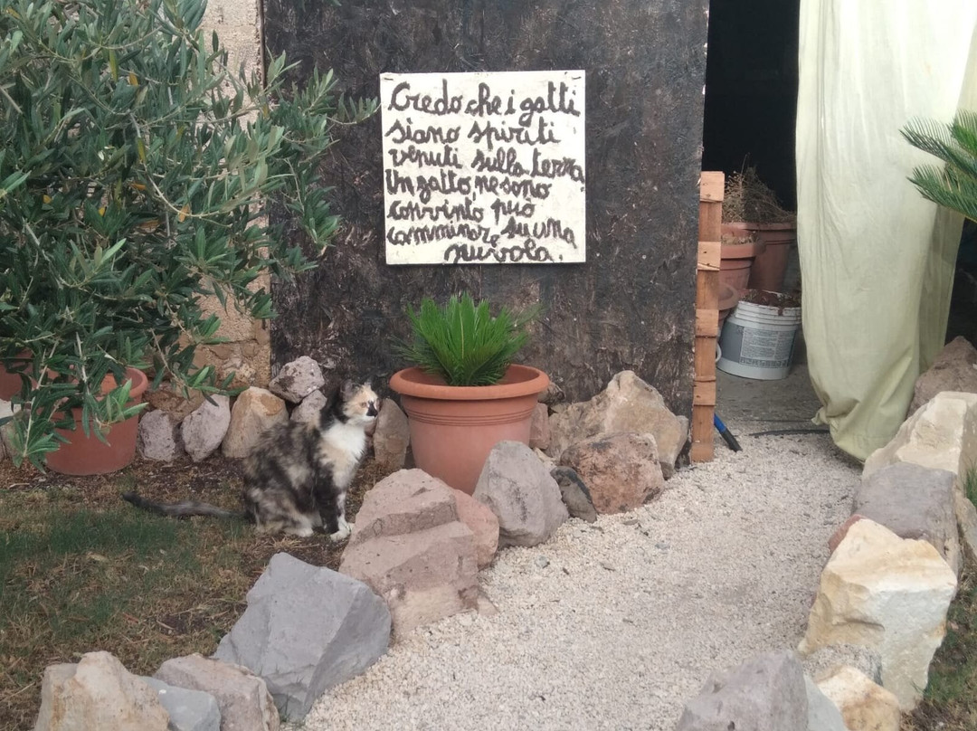 B&B Domu Delunas主图