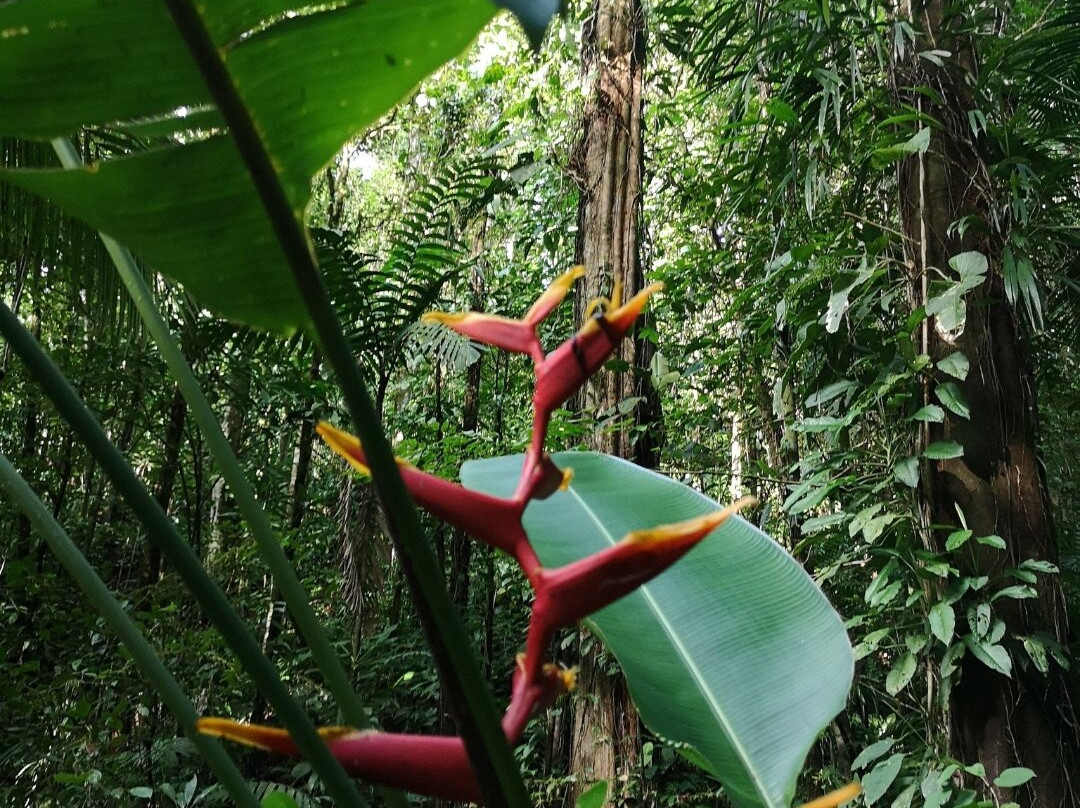 Mecana Ecohotel主图