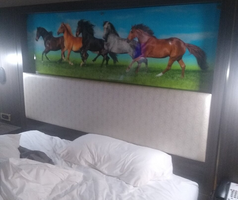 Big Country Hotel & Suites主图