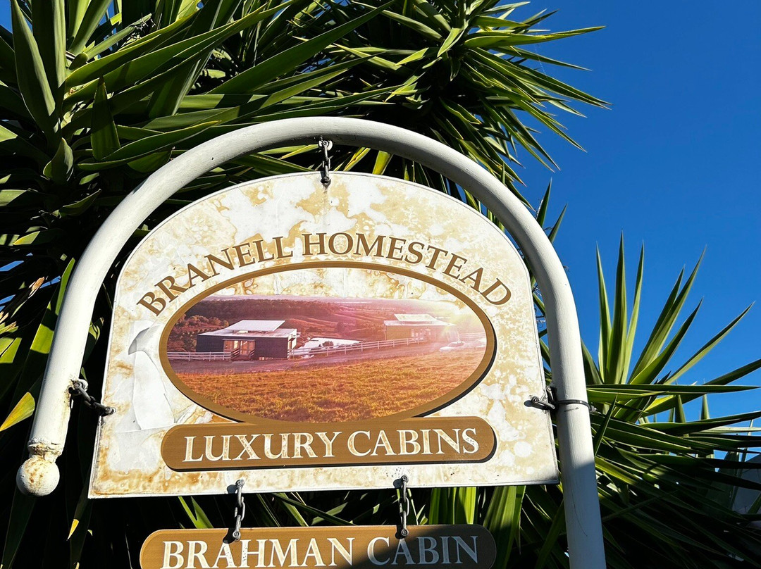 布兰奈尔家园床和早餐酒店主图