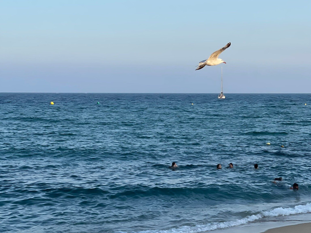 Badalona Beach景点图片